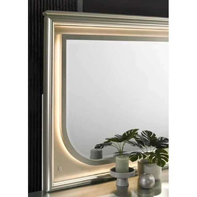 Furniture of America Sheridan FM72080SV-M Mirror