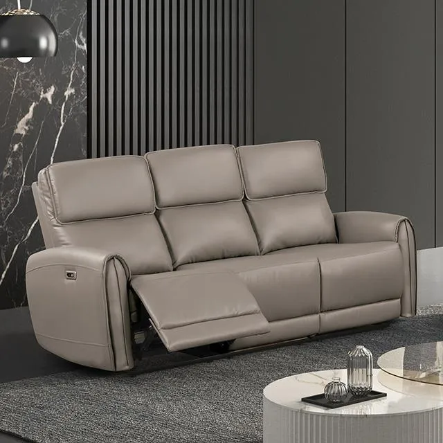 Furniture of America Schlieren FM6012LB-SF-PM Power Sofa