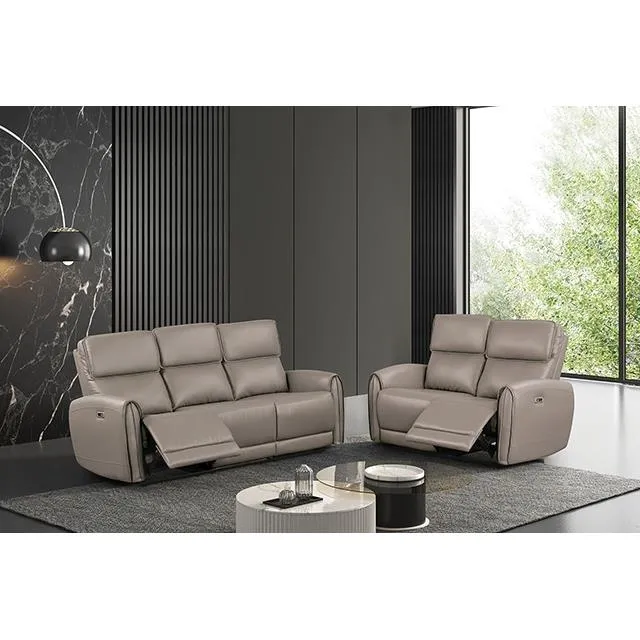 Furniture of America Schlieren FM6012LB-SF-PM Power Sofa