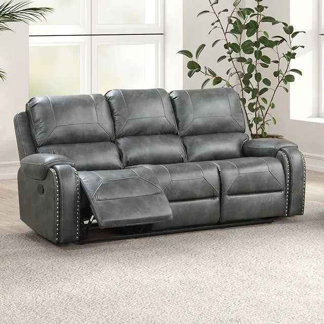 Furniture of America Tepic TM6012GY-SF Sofa