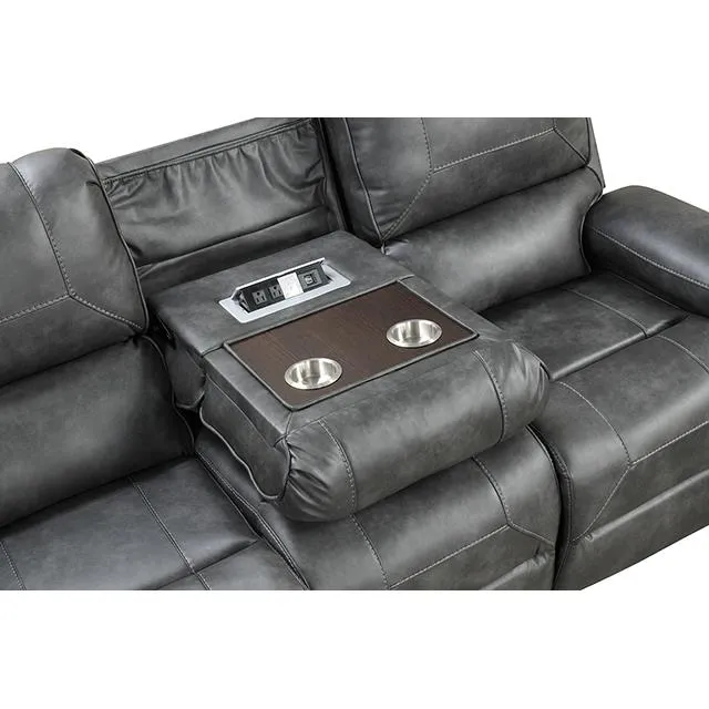 Furniture of America Tepic TM6012GY-SF Sofa