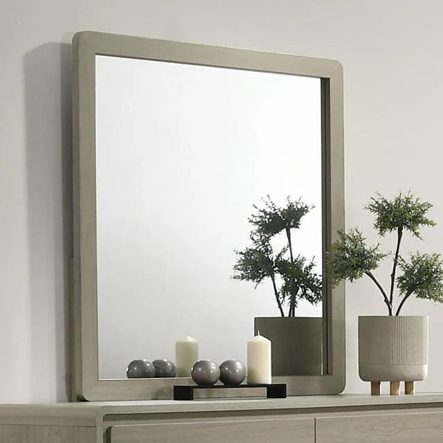 Furniture of America Rainier FM72002GY-M Mirror