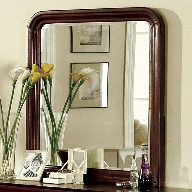 Furniture of America Louis Philippe CM7825CH-M Mirror