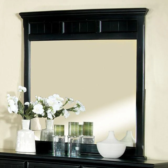 Furniture of America Willow Creek CM7690BK-M Mirror