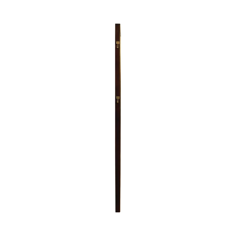 Coaster Furniture Durango 223270 80-inch Standing Floor Mirror - Smoked Peppercorn