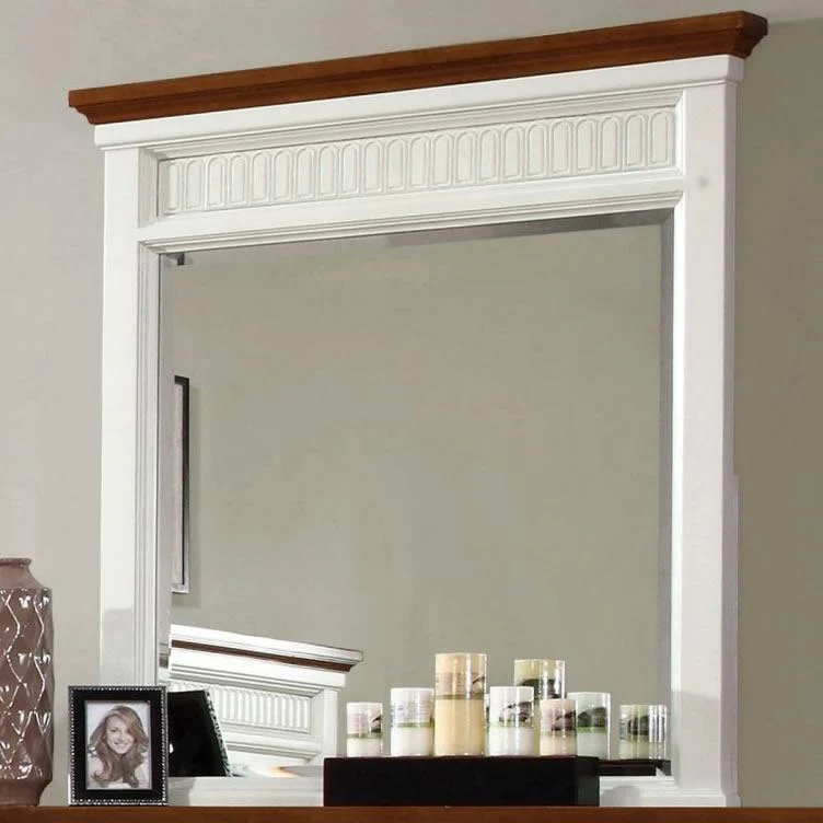Furniture of America Galesburg Dresser Mirror CM7040M