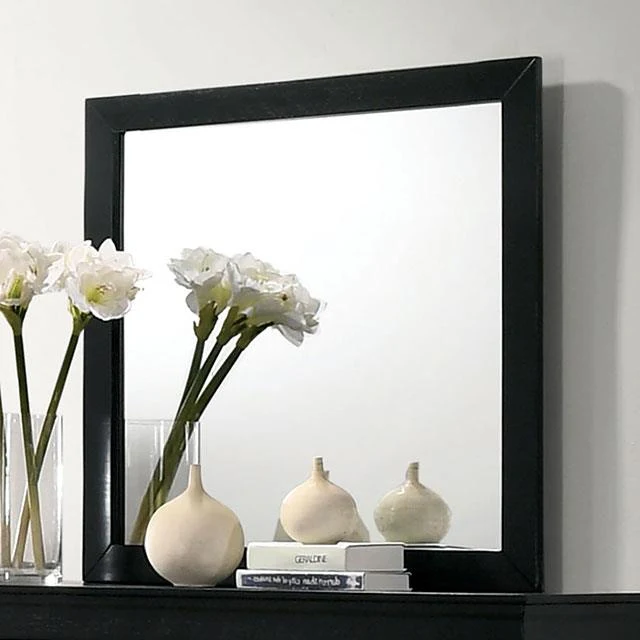 Furniture of America Louis Philippe FM7866BK-M Mirror
