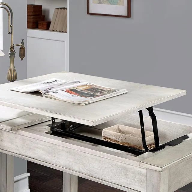 Furniture of America Galarga CM-DK418WH Desk