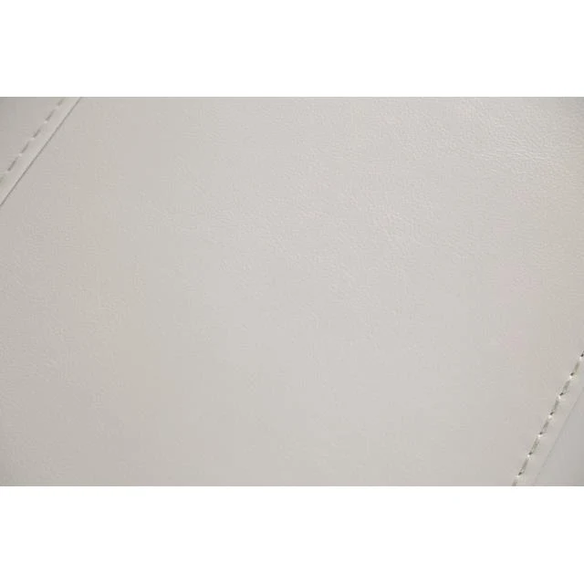 Furniture of America Ascona CM9927FG-SF-PM Power Sofa