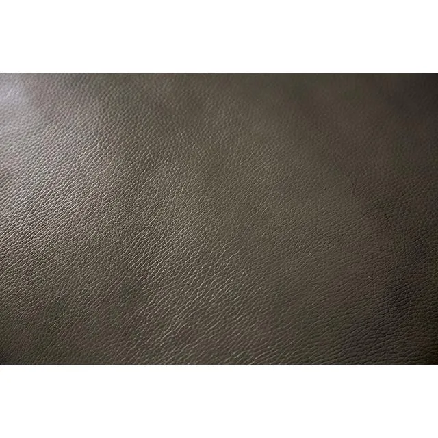 Furniture of America Phineas CM9921GY-SF-PM Power Sofa