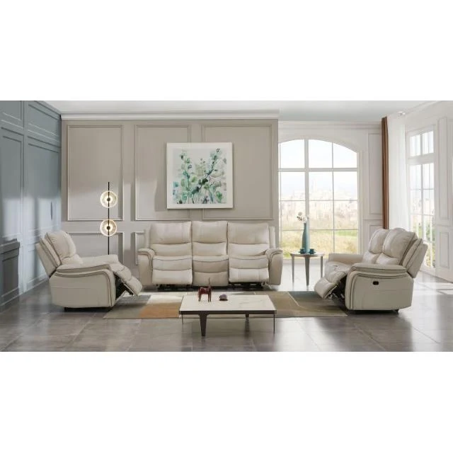 Furniture of America Henricus CM9911BG-SF Sofa