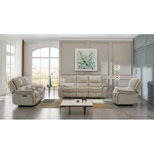 Furniture of America Henricus CM9911BG-SF Sofa