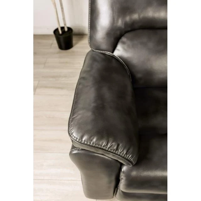 Furniture of America Josias CM9908DG-SF-PK Sofa