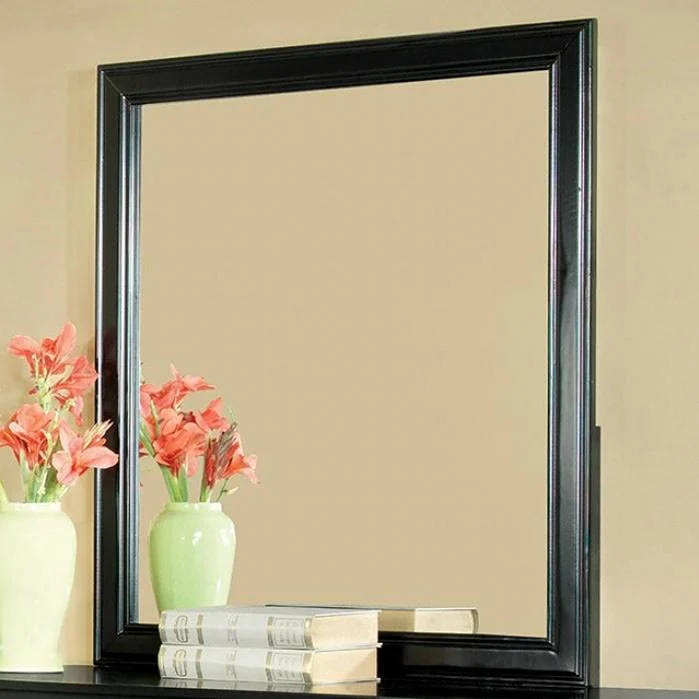 Furniture of America Laurelle Dresser Mirror CM7815BK-M