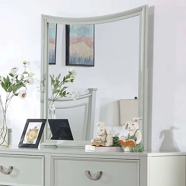 Furniture of America Lycorida CM7477GY-M Mirror