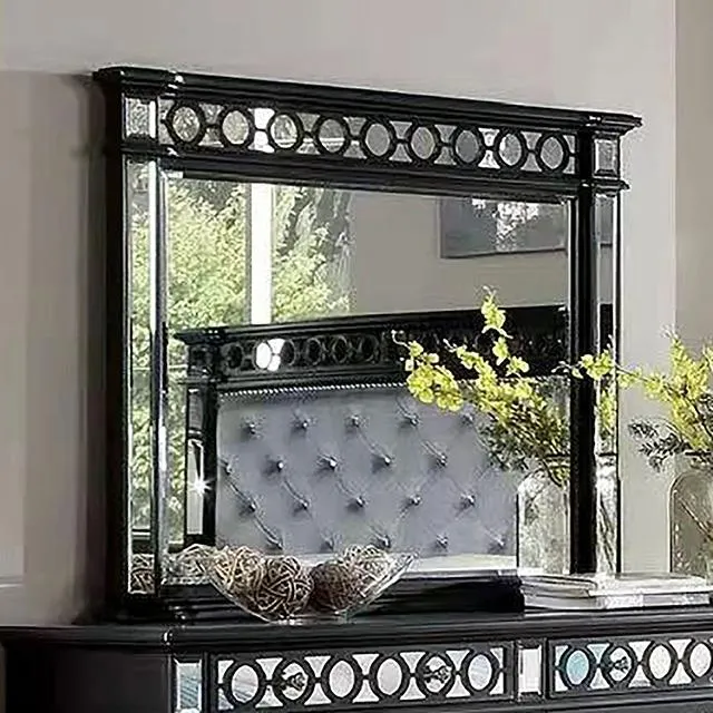 Furniture of America Theola NX7134BK-M Mirror