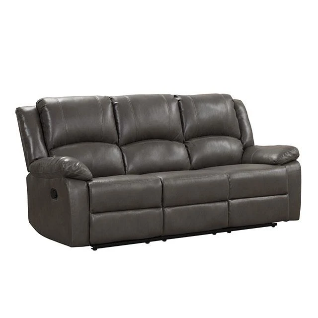 Furniture of America Letha NX6008GY-SF Manual Sofa