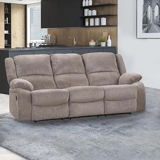 Furniture of America Cosimo NX6003GY-SF Manual Sofa