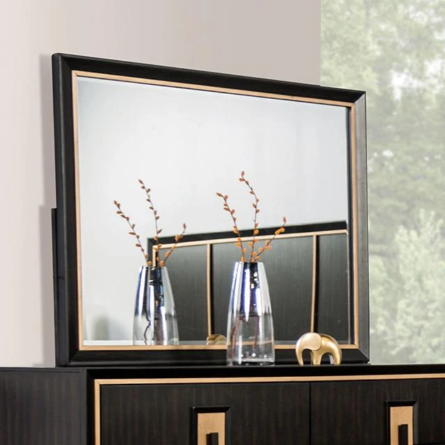 Furniture of America Kenyada FM7421ES-M Mirror