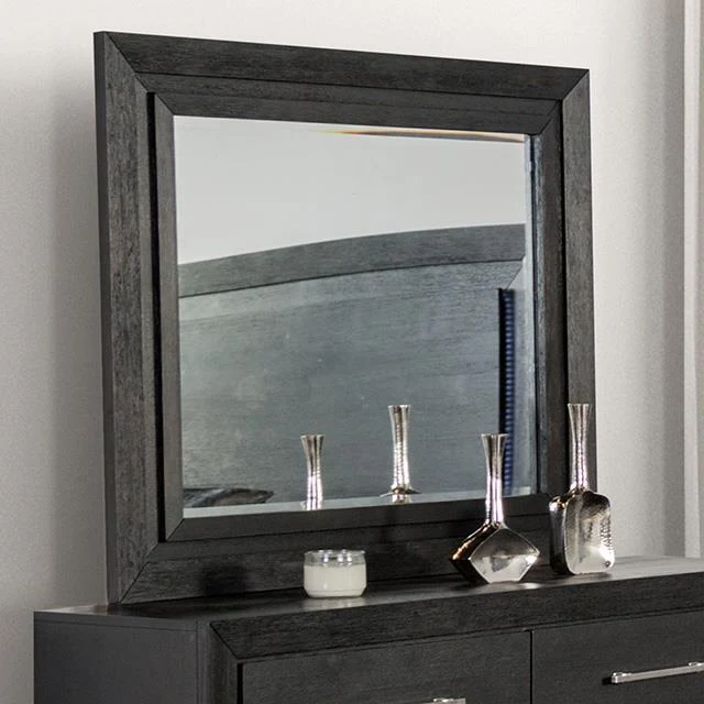 Furniture of America Ashbourne FM7415BK-M Mirror
