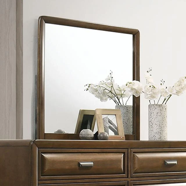 Furniture of America Caerwys FM7231BR-M Mirror