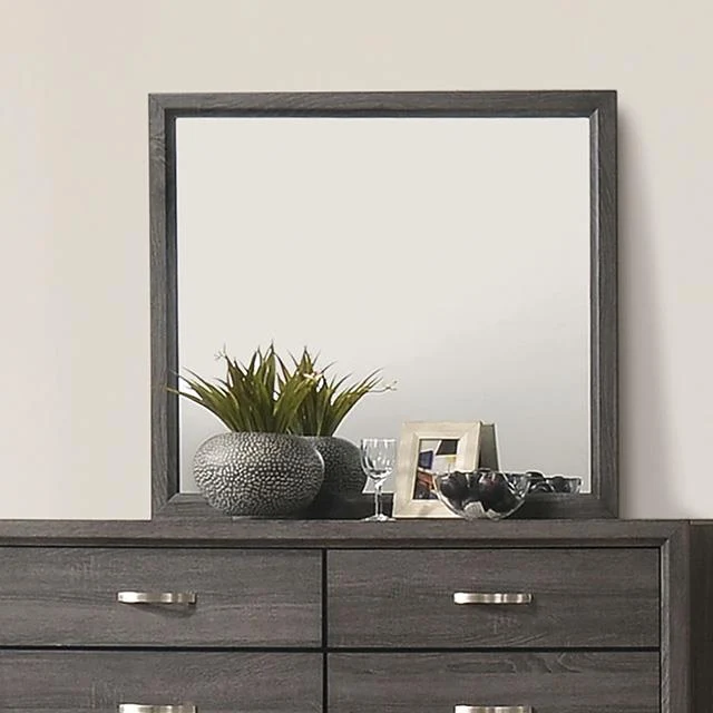Furniture of America Errico FM7215GY-M Mirror