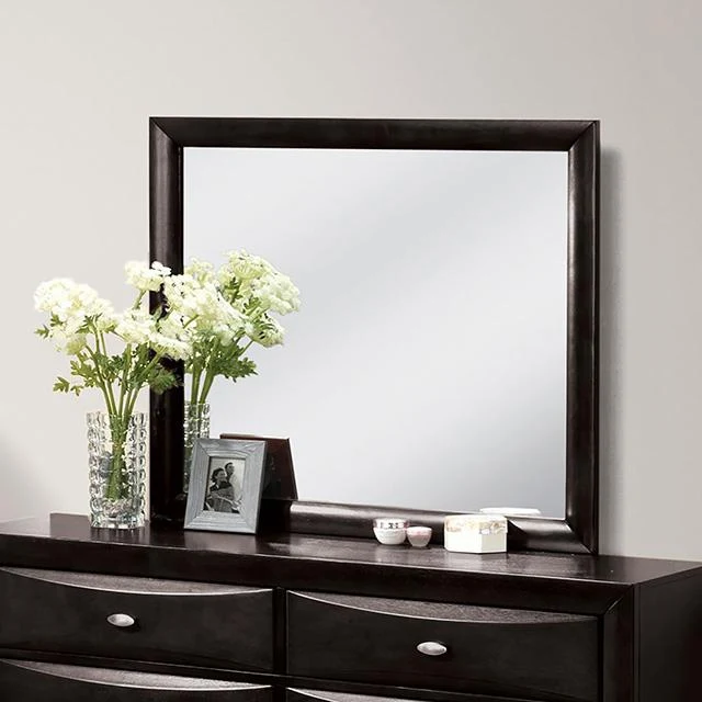 Furniture of America Zosimo FM7210BK-M Mirror