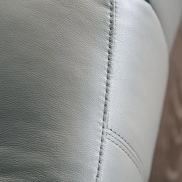 Furniture of America Glarus FM69003DG-SF-M Sofa Manual Recliner