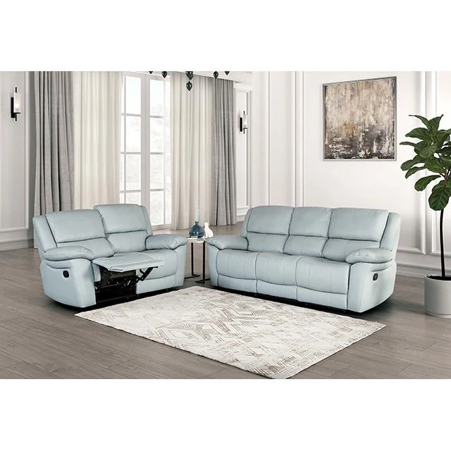 Furniture of America Glarus FM69003BL-SF-M Sofa Manual Recliner