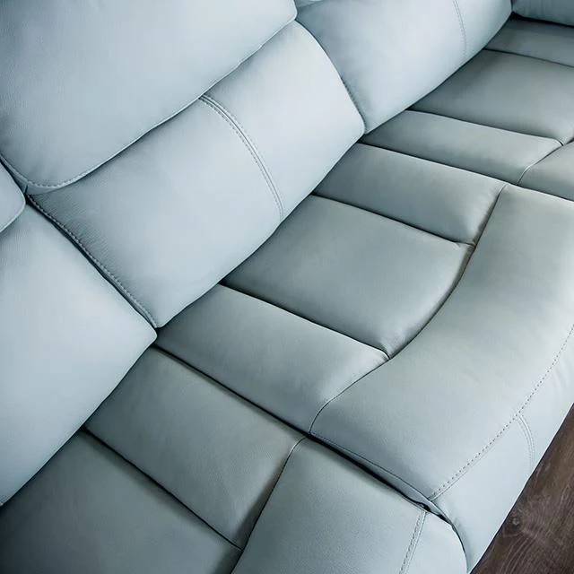 Furniture of America Glarus FM69003BL-SF-M Sofa Manual Recliner