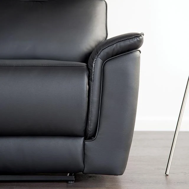 Furniture of America Bienne FM69002BK-SF-M Sofa Manual Recliner
