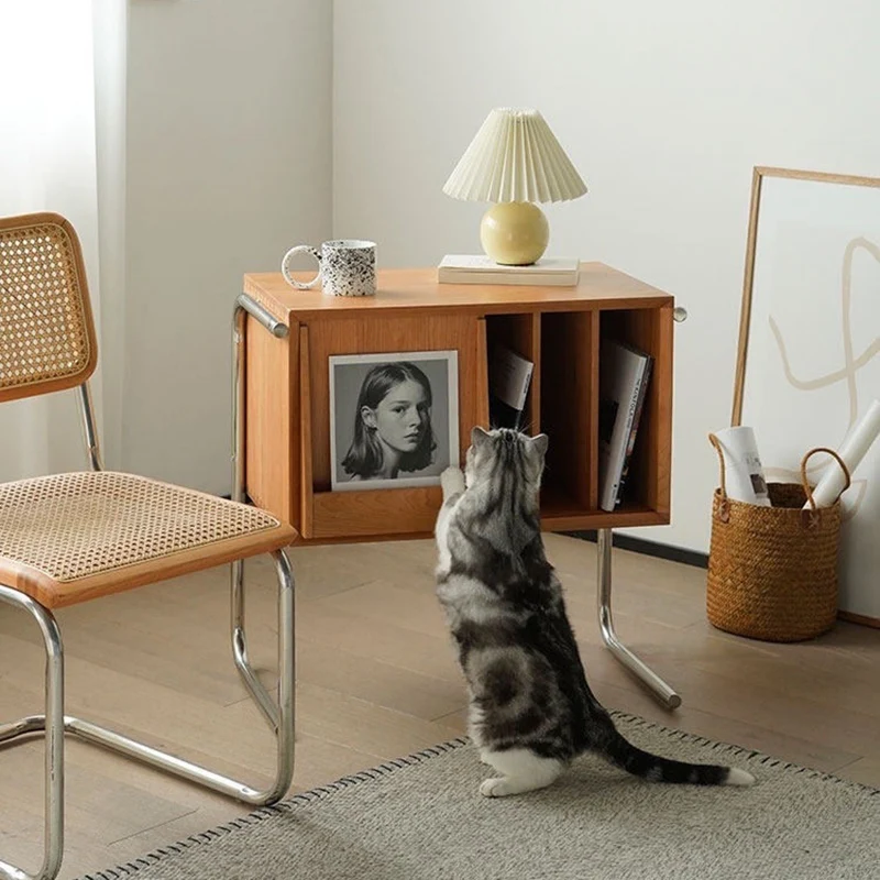 Traditional Japanese Rectangular Plywood Stainless Steel End Table Storage Cabinet For Living Room