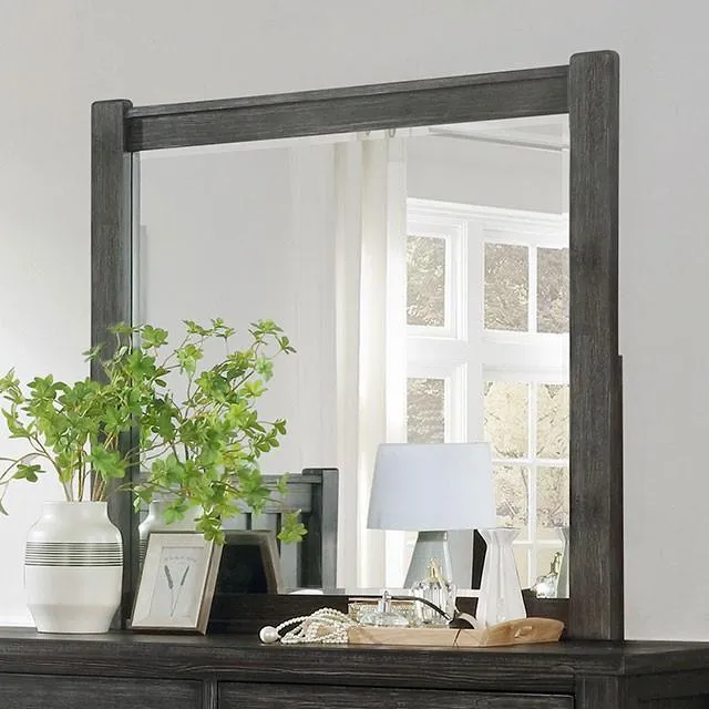 Furniture of America Regensburg FOA7169M Mirror