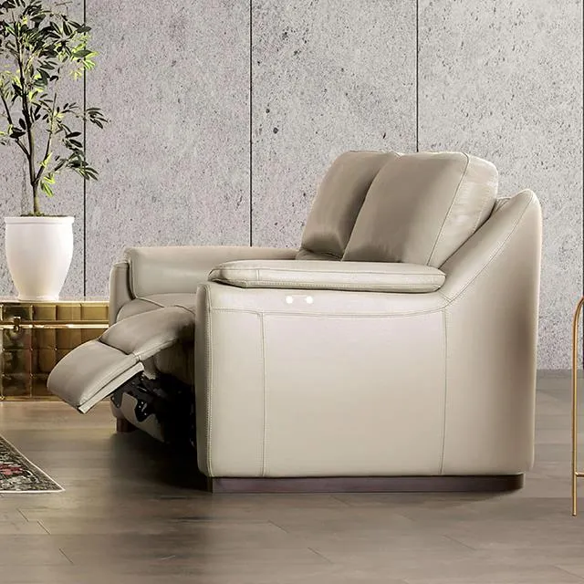 Furniture of America Altamura FM90002TP-SF-PM-PK Power Sofa
