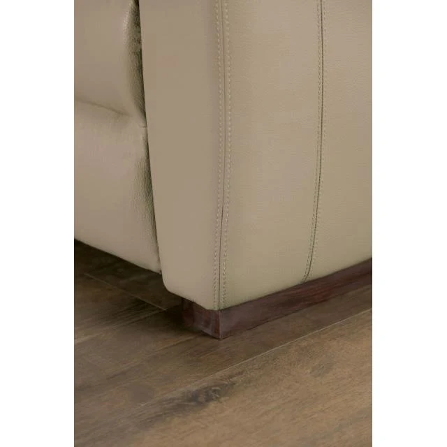 Furniture of America Altamura FM90002TP-SF-PM-PK Power Sofa