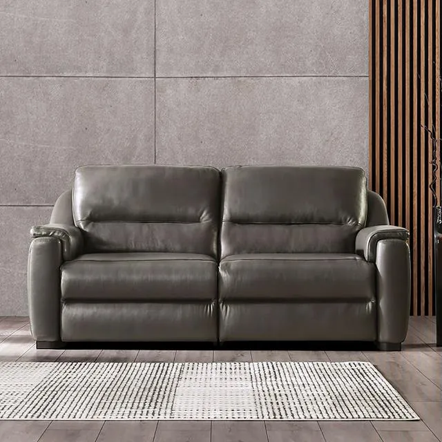 Furniture of America Altamura FM90002GY-SF-PM-PK Power Sofa