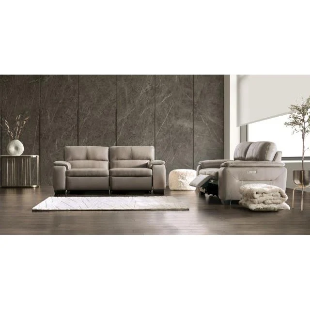 Furniture of America Balderico FM90001TP-SF-PM-PK Power Sofa
