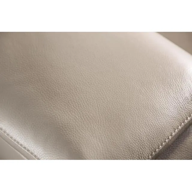 Furniture of America Balderico FM90001TP-SF-PM-PK Power Sofa