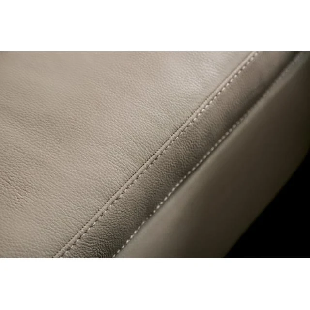 Furniture of America Balderico FM90001TP-SF-PM-PK Power Sofa