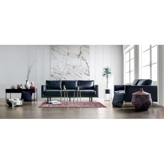 Furniture of America Mezzanotte FM90000-SF-PK Sofa