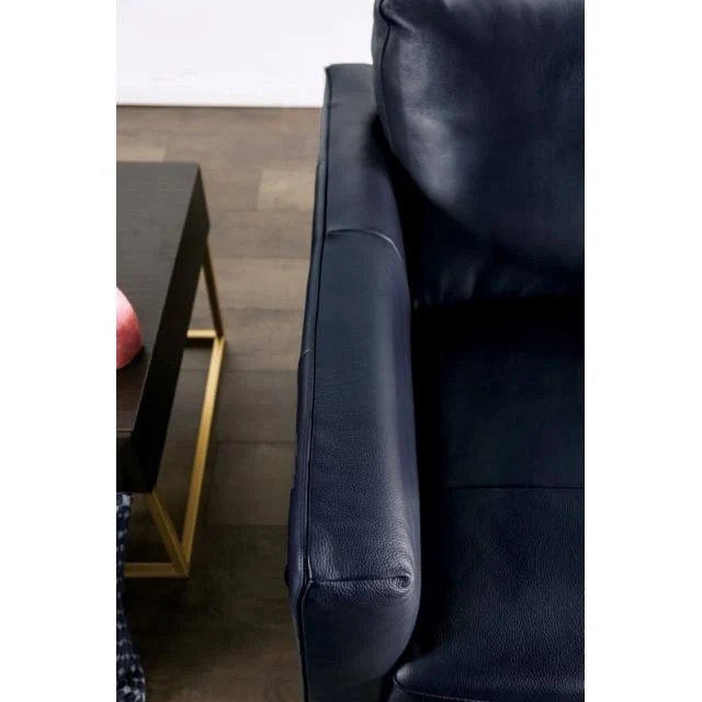 Furniture of America Mezzanotte FM90000-SF-PK Sofa