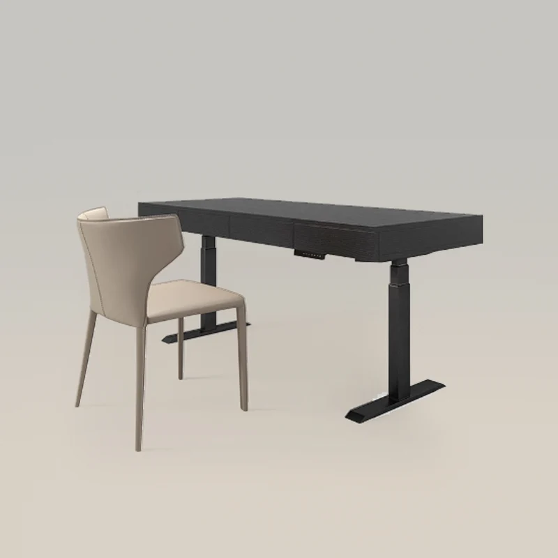 Adjustable Computer Desk And Chair Combination