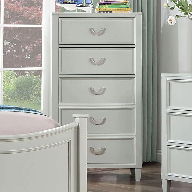 Furniture of America Lycorida CM7477GY-C Chest