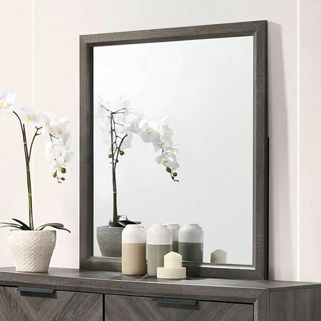 Furniture of America Vagan CM7472GY-M Mirror