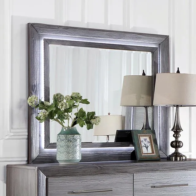 Furniture of America Raiden CM7468GY-M Mirror