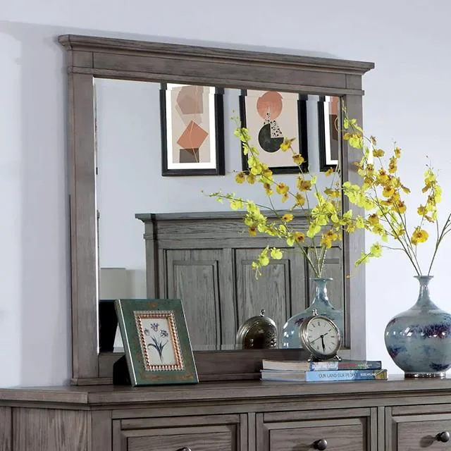 Furniture of America Durango CM7461GY-M Mirror