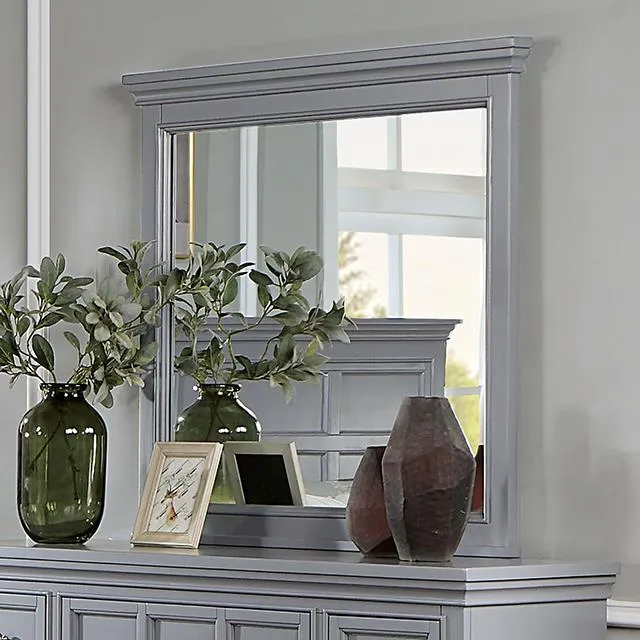 Furniture of America Castlile CM7413GY-M Mirror