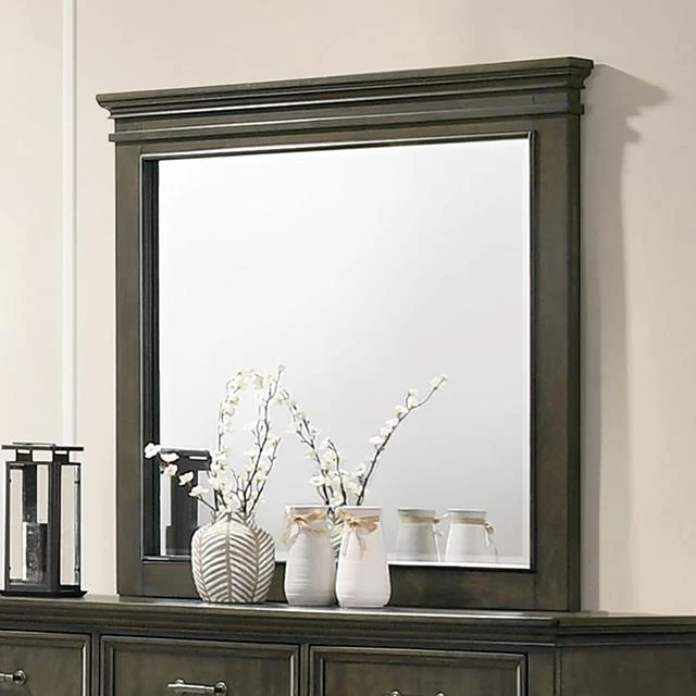 Furniture of America Houston CM7221GY-M Mirror