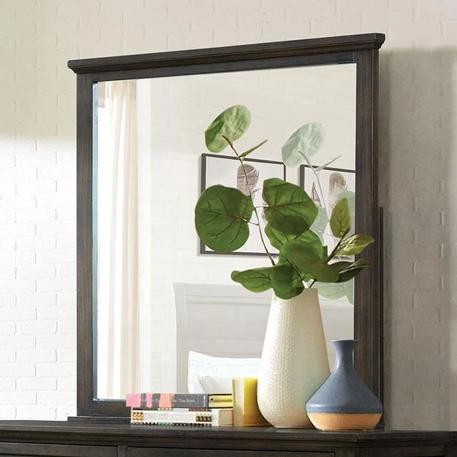 Furniture of America Alaina FOA7916M Mirror