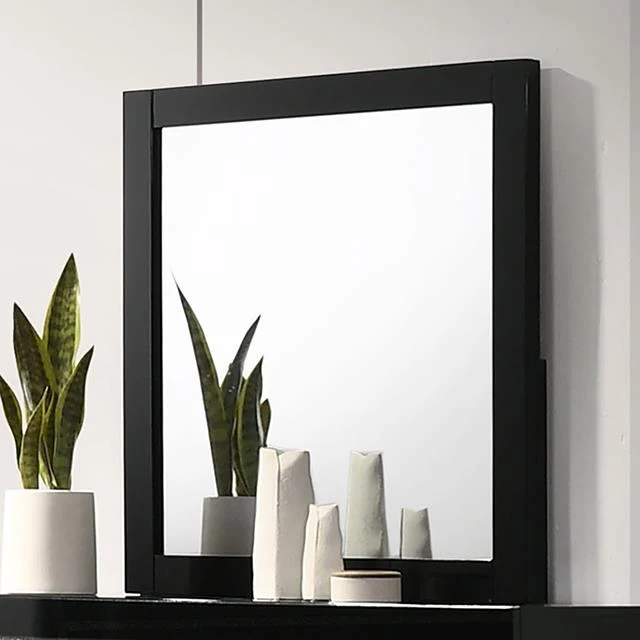 Furniture of America Magdeburg FOA7038BK-M Mirror